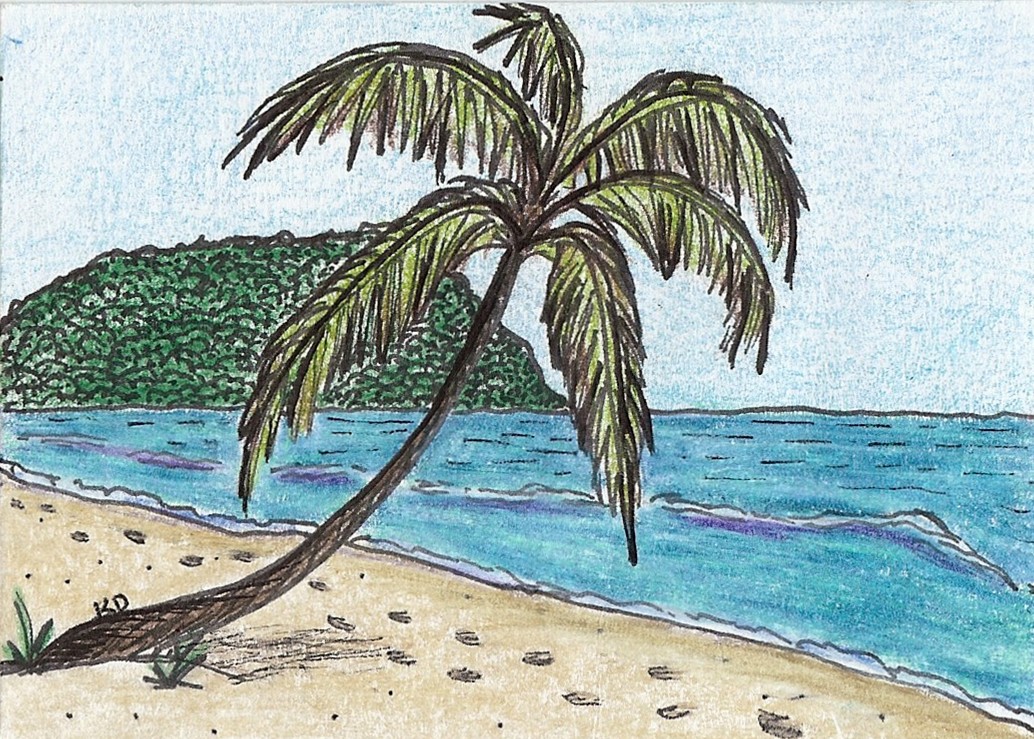 Palm Tree Beach Drawing at Explore collection of
