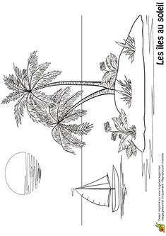 235x333 Great Sketch Of Palm Trees Beach Illustrations And Photography - Palm Tree Beach Drawing