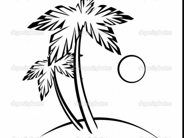 640x480 drawn palm tree beach - Palm Tree Beach Drawing