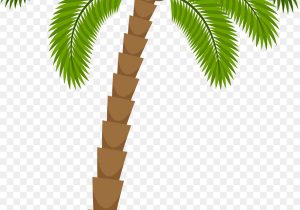 300x210 Palm Drawing Cartoon How To Draw Summer Cartoons - Palm Tree Cartoon Drawing