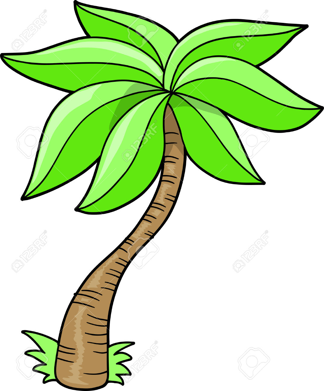 1075x1300 Palm Tree Cartoon Drawing - Palm Tree Cartoon Drawing