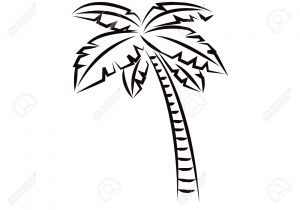 300x210 palm tree cartoon drawing collection of cartoon palm tree - Palm Tree Cartoon Drawing