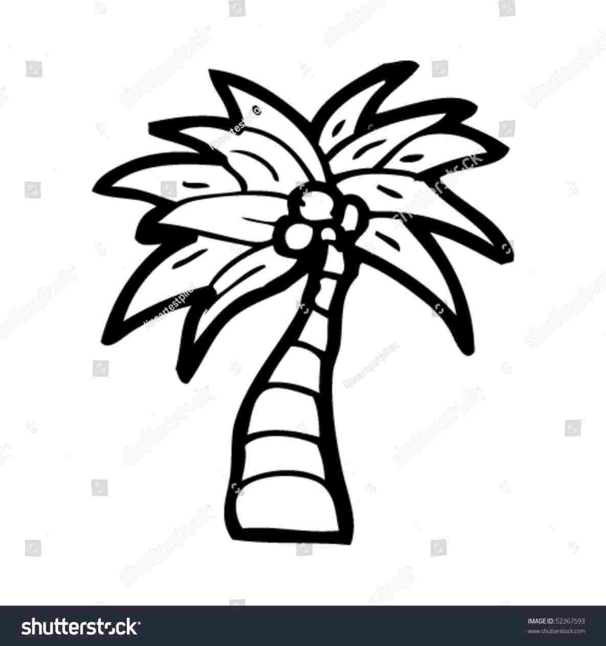 Palm Tree Cartoon Drawing at Explore collection of