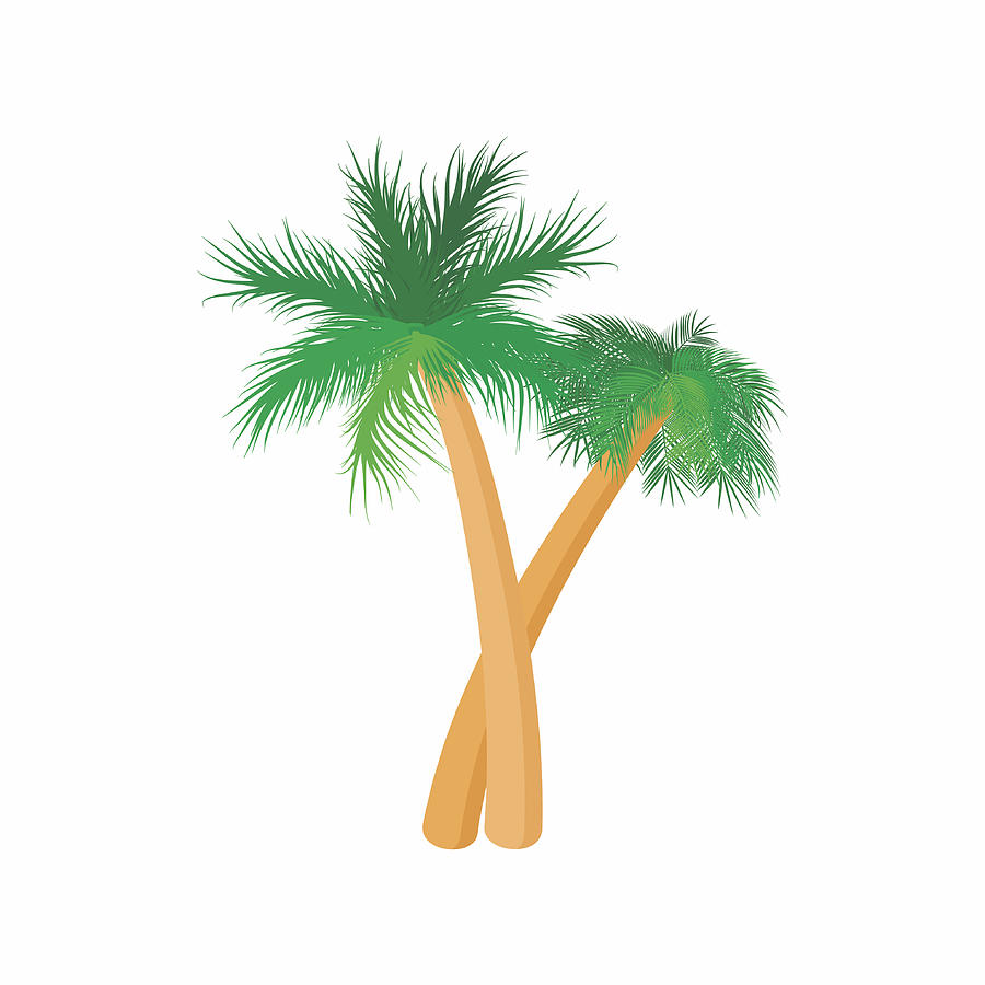 900x900 Two Palm Trees Icon, Cartoon Style Drawing - Palm Tree Cartoon Drawing
