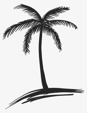 300x387 Free Cartoon Palm Tree Png - Palm Tree Cartoon Drawing