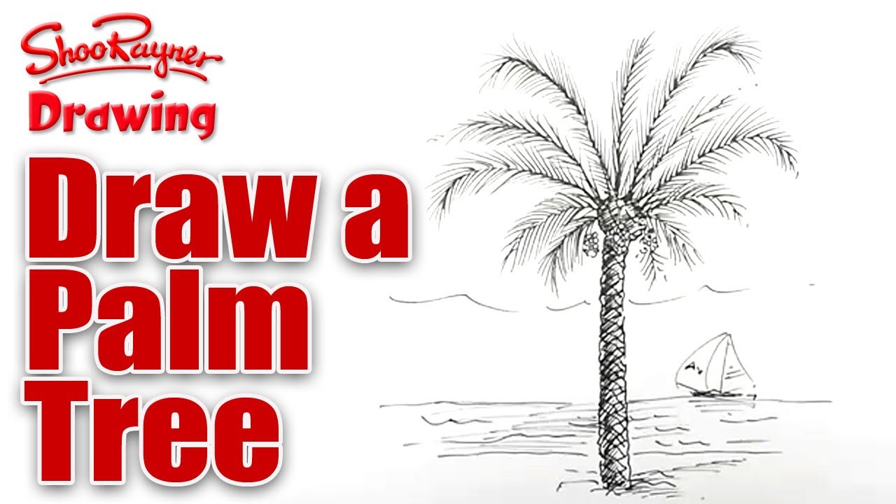 1280x720 How To Draw A Palm Tree - Palm Tree Drawing