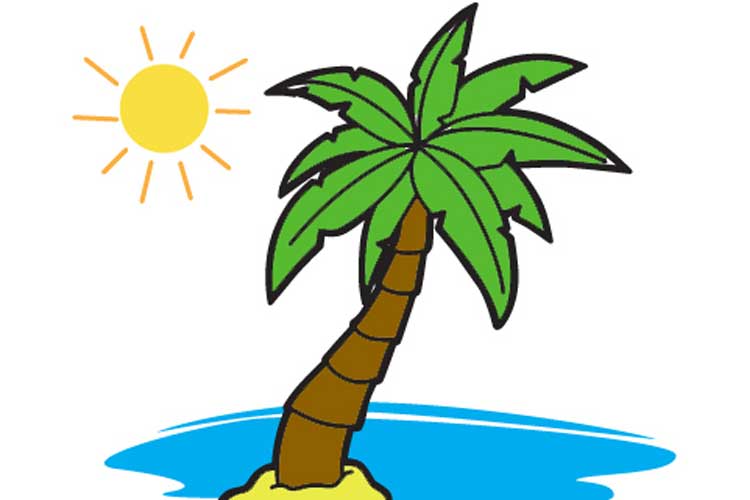 750x500 How To Draw A Palm Tree Step - Palm Tree Drawing