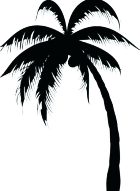 457x623 Palm Tree Drawings Trees Awesome Black Silhouette Tattoo Draw Png - Palm Tree Drawing