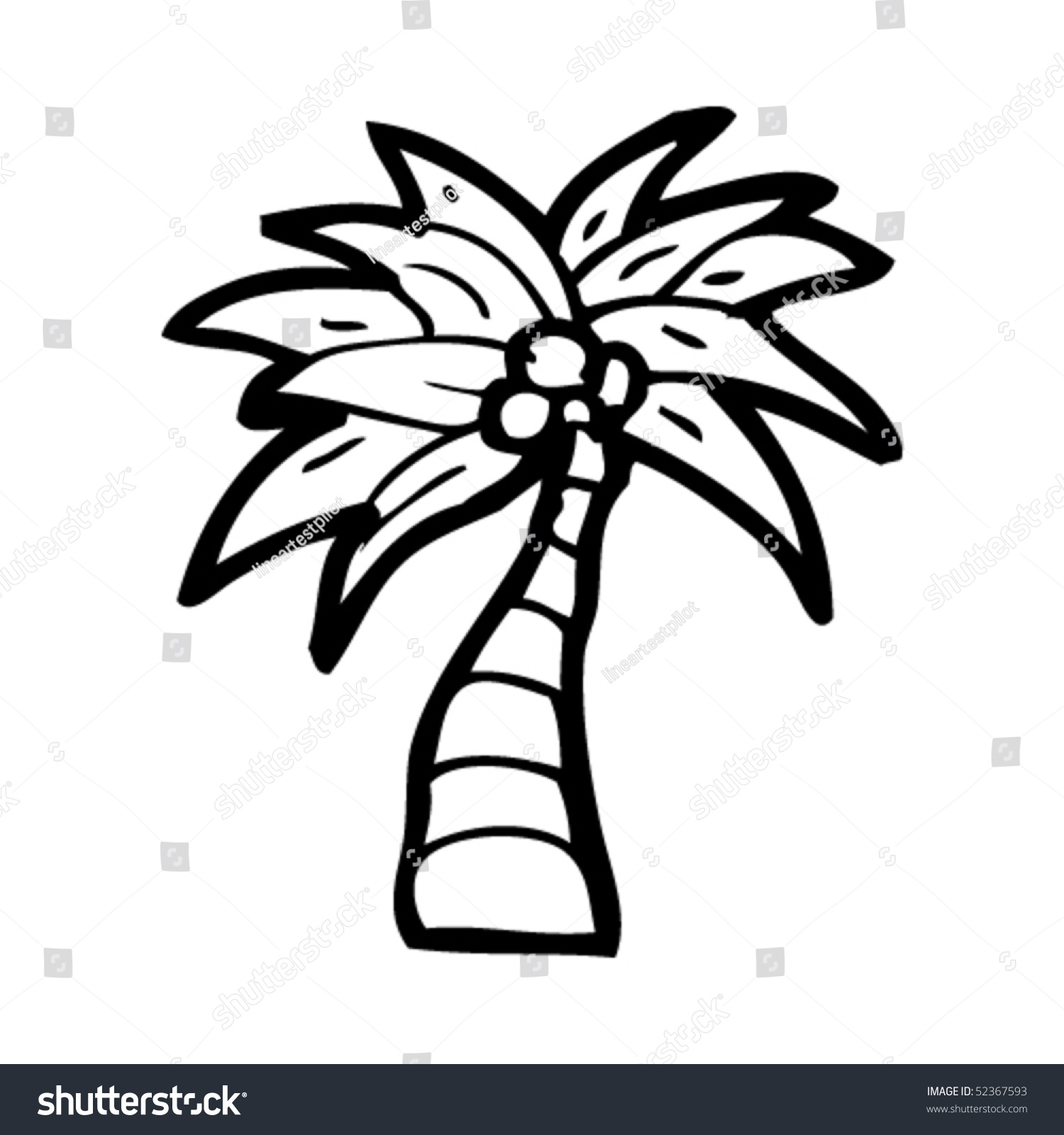 Palm Tree Drawing At Paintingvalley Com Explore Collection Of