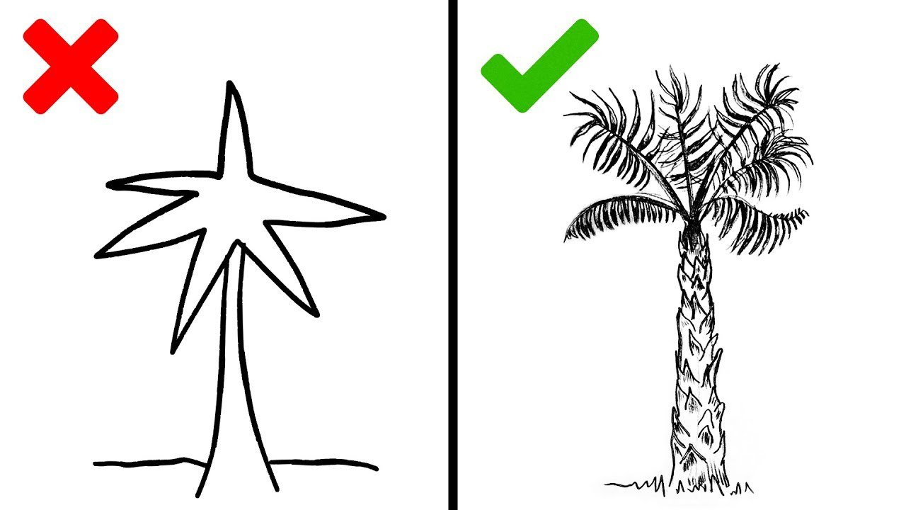 Palm Tree Drawing Easy Step By Step