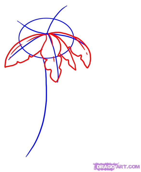 585x714 How To Draw A Palm Tree, Step - Palm Tree Drawing Easy