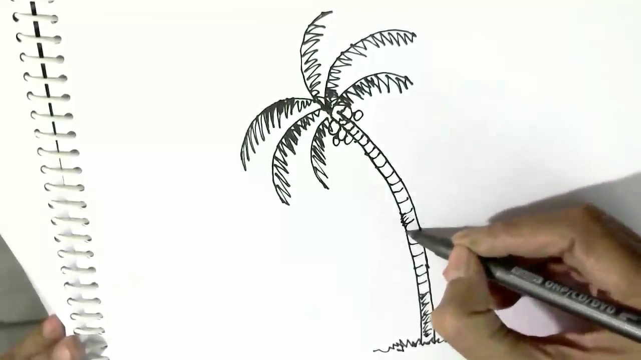 1280x720 How To Draw A Palm Or Coconut Tree - Palm Tree Drawing Easy