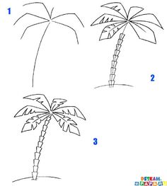 236x263 How To Draw Palm Trees In Drawingssketches Drawings - Palm Tree Drawing Easy