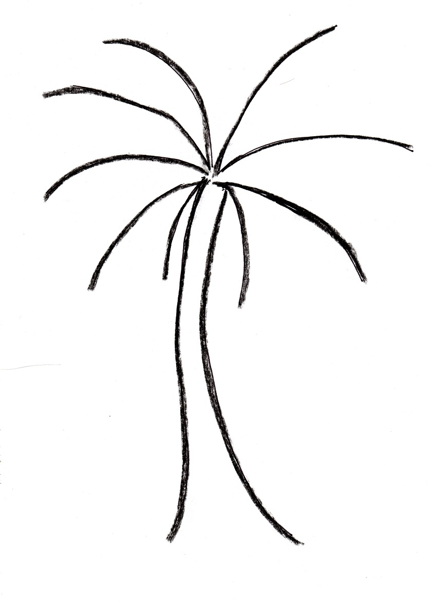 845x1171 Unparalleled Drawing Of A Palm Tree How To Dra - Palm Tree Drawing Easy