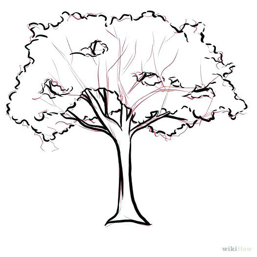 525x525 Easy Tree Drawing Easy Tree Drawing Step - Palm Tree Drawing Easy