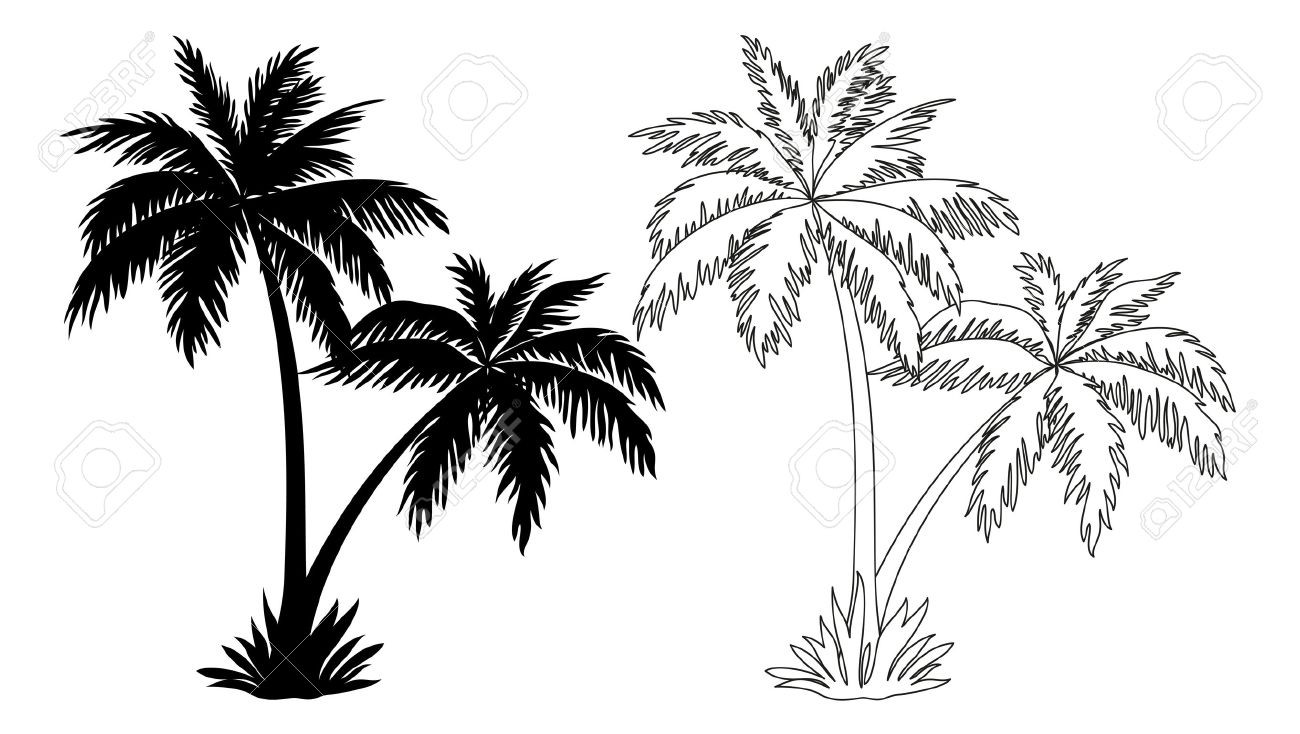 Palm Tree Drawing Outline - Palm Tree Drawings | Bodbocwasuon