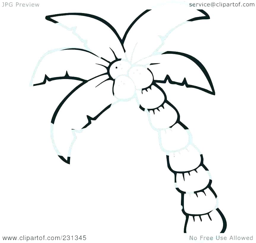 863x818 Palm Tree Coloring Pages - Palm Tree Drawing Outline