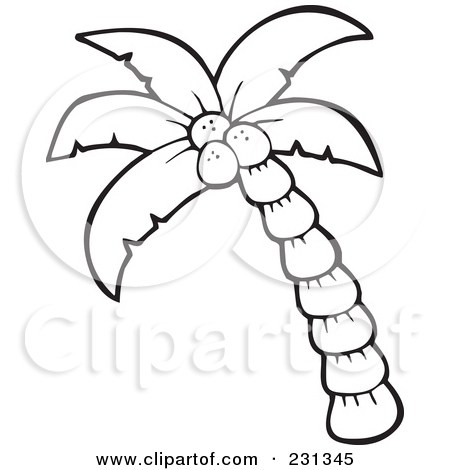 450x470 Palm Tree Drawing Outline Beautiful Printable Coconut Tree - Palm Tree Drawing Outline