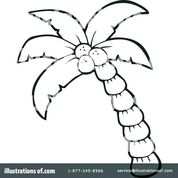 Palm Tree Drawing Outline at PaintingValley.com | Explore collection of ...