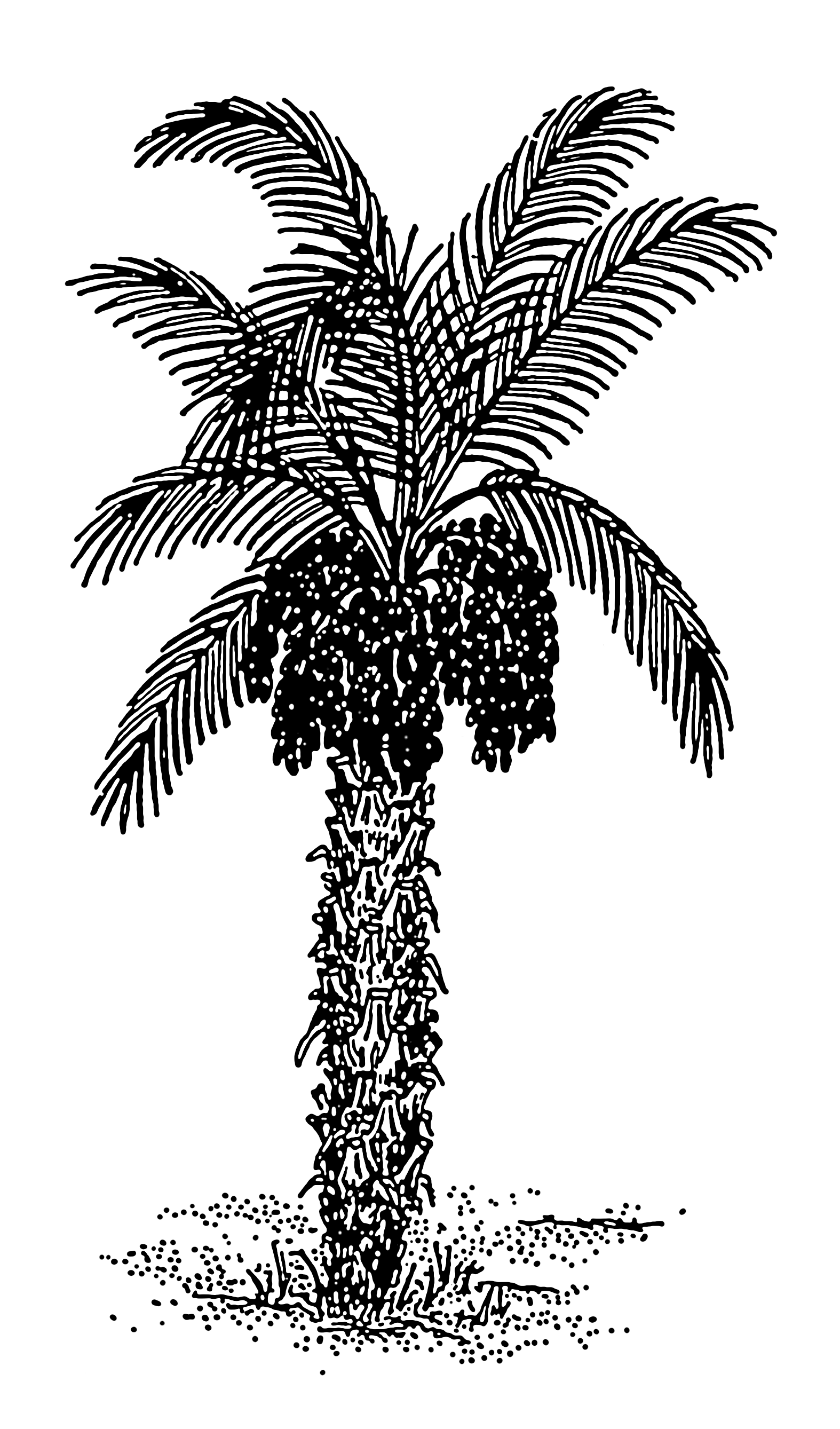 Финиковая Пальма в Месопотамии