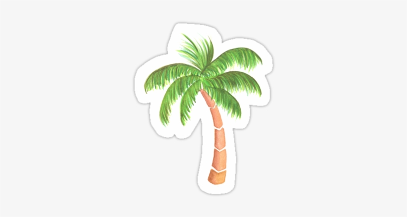 820x438 Palm Tree Drawing Png Download - Palm Tree Drawing Png