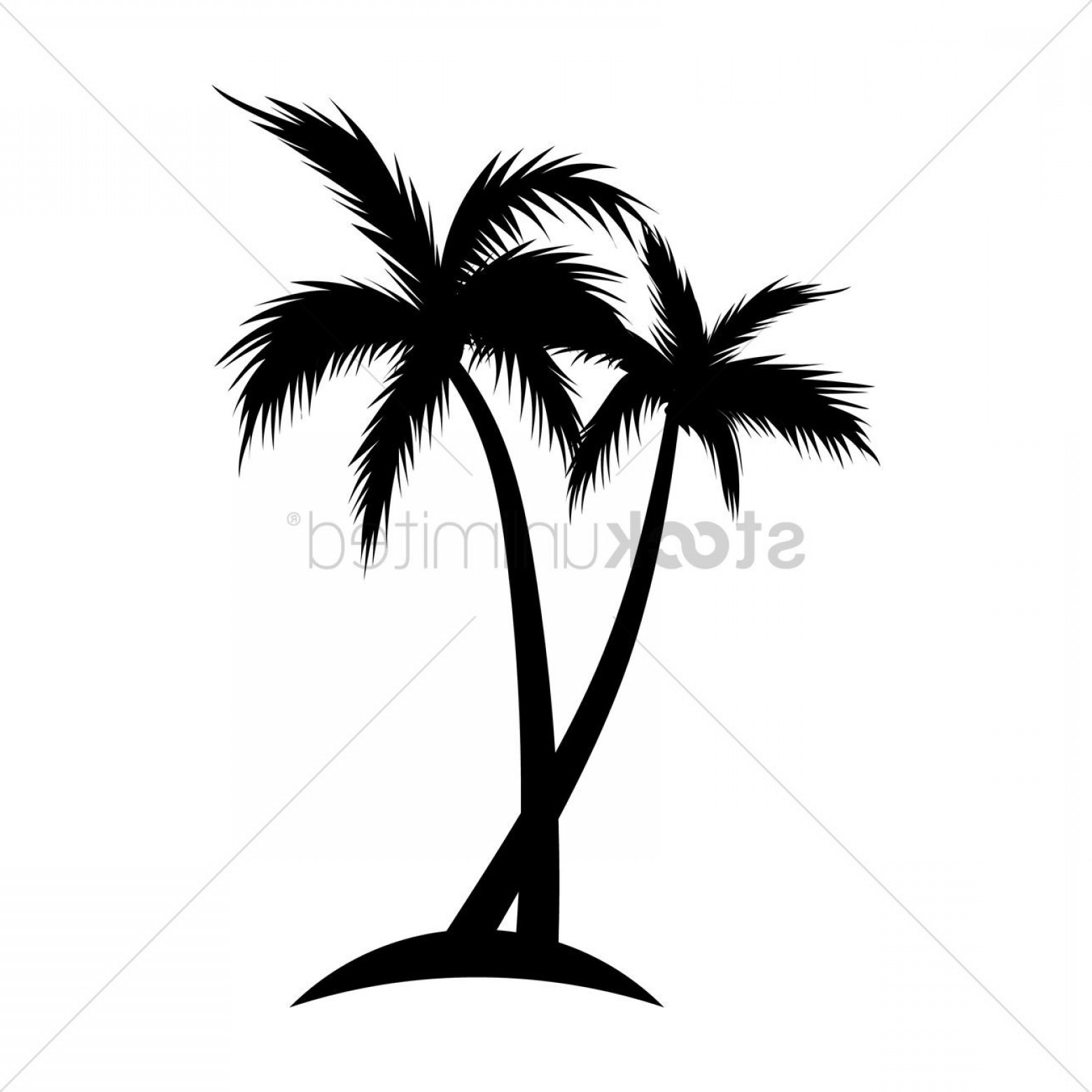 1560x1560 palm trees png black silhouette vector soidergi - Palm Tree Drawing Png