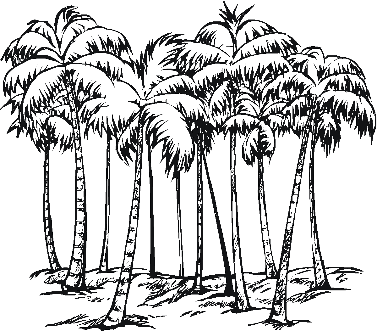 1200x1052 Palm Tree - Palm Tree Drawing Png