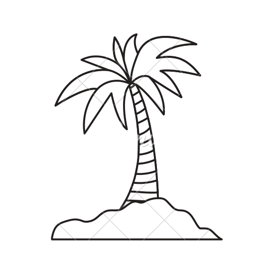 Palm Tree Drawing Png at PaintingValley.com | Explore collection of ...