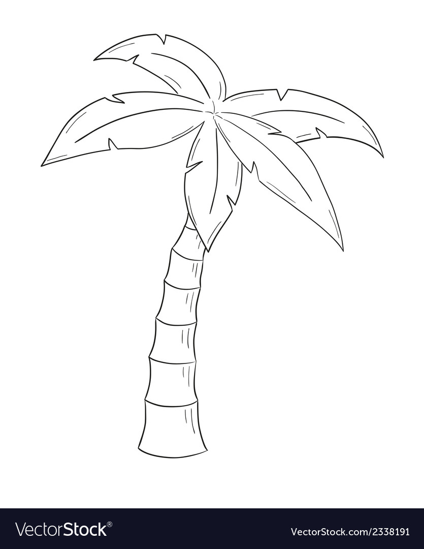 Palm Tree Pencil Drawing At Paintingvalley Com Explore Collection Of Palm Tree Pencil Drawing