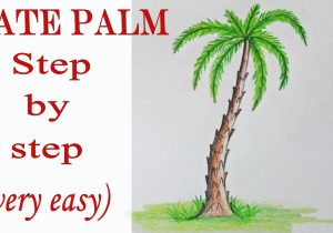 300x210 How To Draw Palm Trees Step - Palm Tree Drawing Step By Step