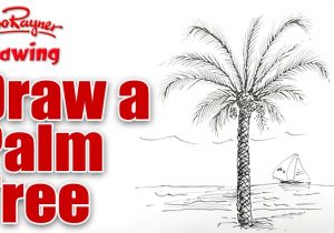 300x210 How To Draw Palm Trees Step - Palm Tree Drawing Step By Step