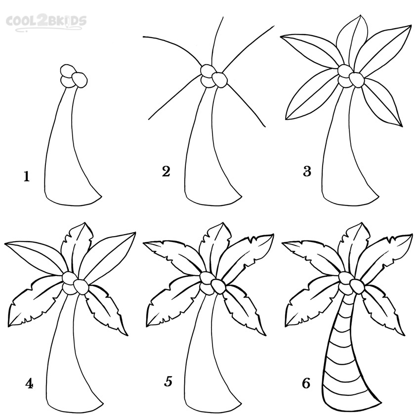 850x850 How To Draw A Palm Tree - Palm Tree Drawing Step By Step
