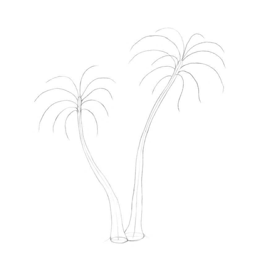 850x885 How To Draw A Palm Tree - Palm Tree Drawing Step By Step