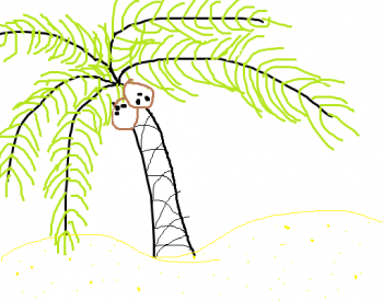 350x275 How To Draw How To Draw A Palm Tree Easy - Palm Tree Drawing Step By Step