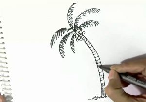 300x210 palm tree drawing easy easy palm tree drawing easy palm tree - Palm Tree Drawing Step By Step