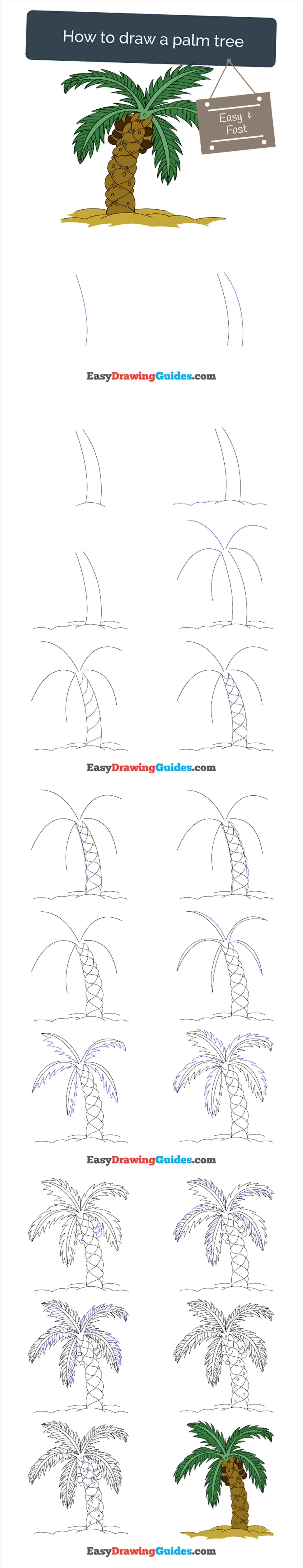 1900x9835 Palm Tree Drawing Step - Palm Tree Drawing Step By Step