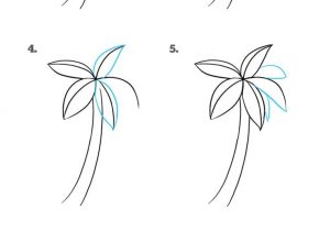 300x210 Palm Tree Drawing Step - Palm Tree Drawing Step By Step