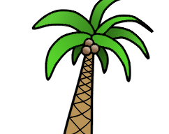 242x192 Drawing Trees How To Draw Trees, Branches, Leaves With Drawing - Palm Tree Drawing Step By Step