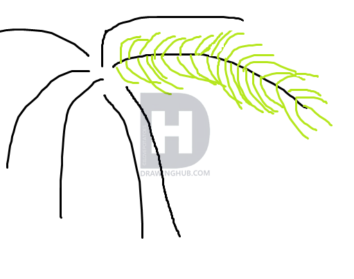 511x402 How To Draw A Palm Tree Easy, Step - Palm Tree Drawing Step By Step