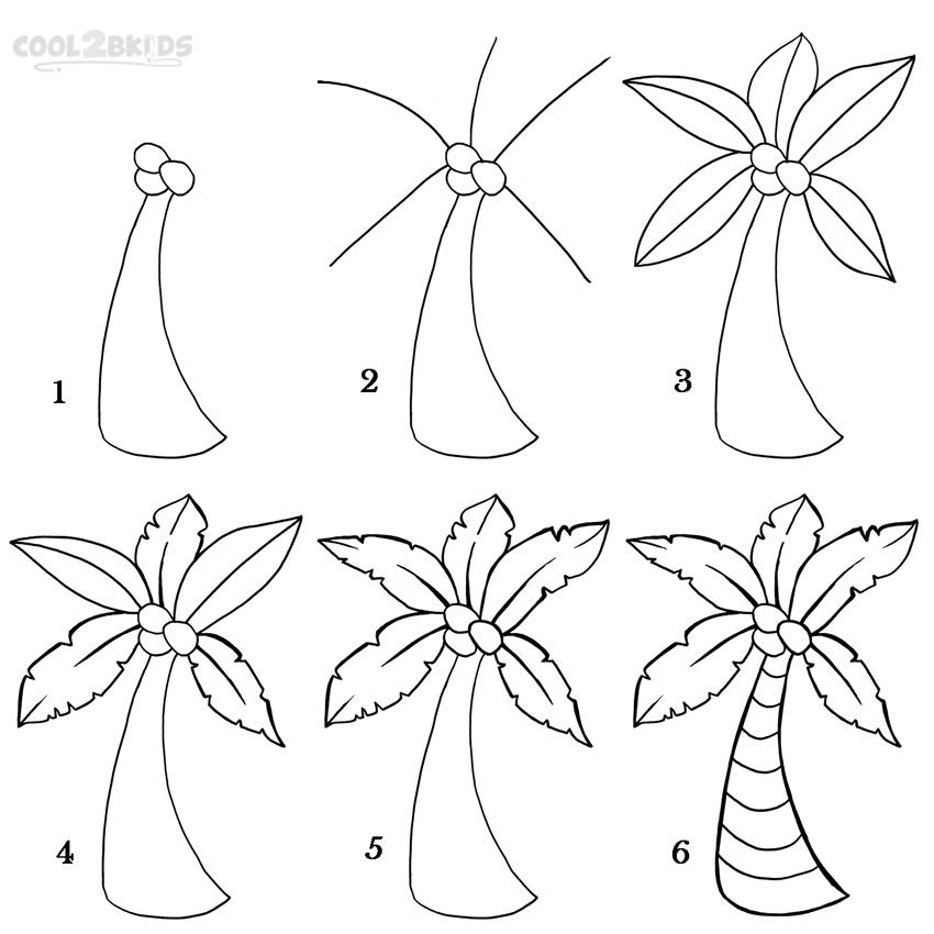 850x850 How To Draw A Palm Tree Step - Palm Tree Drawing Steps