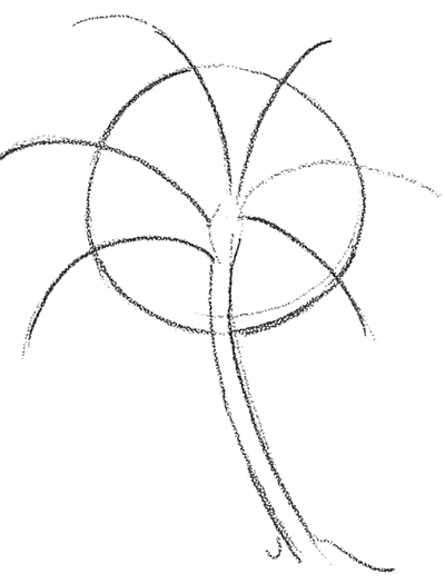 400x525 How To Draw Palm Trees In Front Of The Sun Drawing Lesson - Palm Tree Drawing Steps