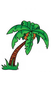 215x382 How To Draw A Palm Tree, Easy Step - Palm Tree Drawing Steps