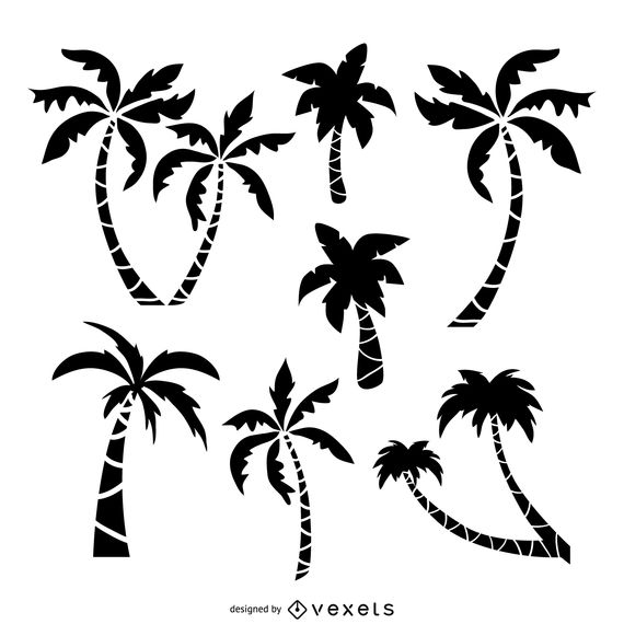570x570 Huge Collection Of 'palm Trees Drawing' Download More Than - Palm Tree Drawing Steps