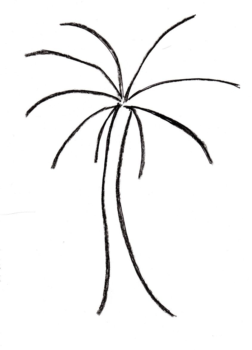 845x1171 palm tree drawing easy with you can create this palm tree drawing - Palm Tree Drawing Steps