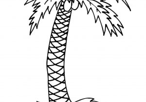 300x210 palm tree drawing steps how to draw a palm tree - Palm Tree Drawing Steps