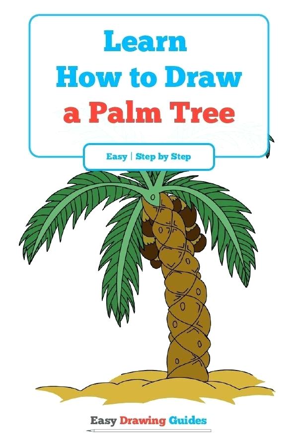600x900 Palm Tree Drawings Realistic Drawing Pictures Peternguyen - Palm Tree Drawing Steps