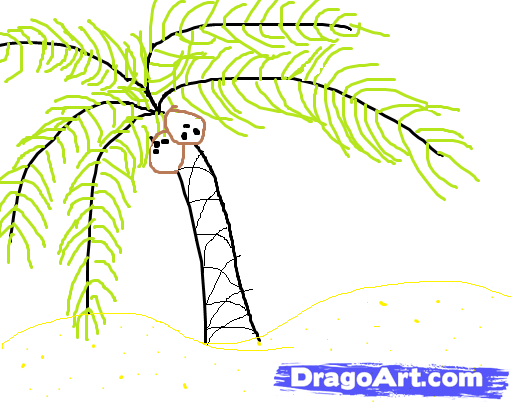 511x402 How To Draw A Palm Tree Easy, Step - Palm Tree Drawing Steps