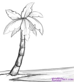 Palm Tree Drawing Tumblr