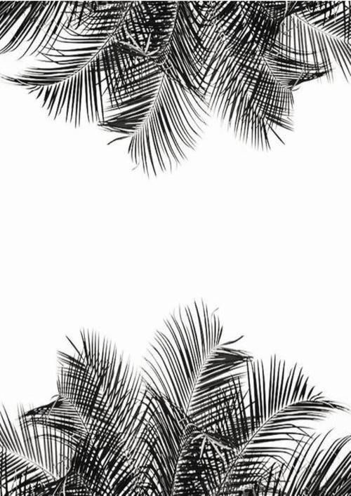 500x707 keep palm and carry - Palm Tree Drawing Tumblr