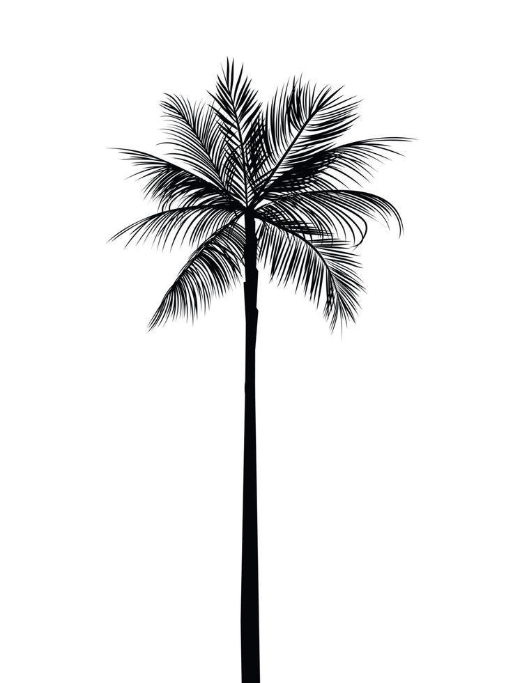 736x981 bildergebnis palm tree tattoo tumblr my style palm tattoos - Palm Tree Drawing Tumblr